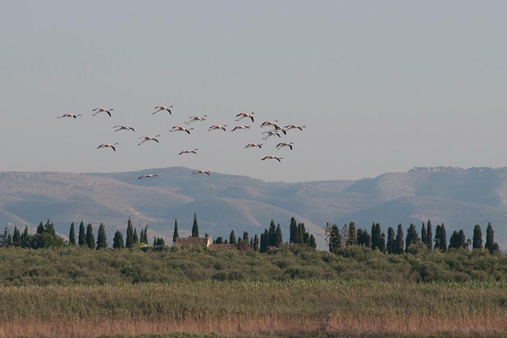 Arenaria B&B Avola Εξωτερικό φωτογραφία